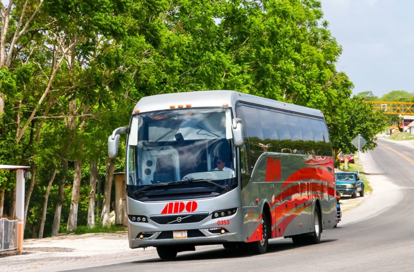 Selecting the Bus to Travel in Mexico