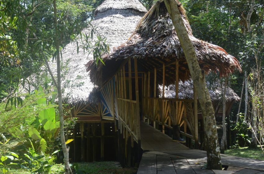 Top 10 things you need to know before you try ayahuasca retreat