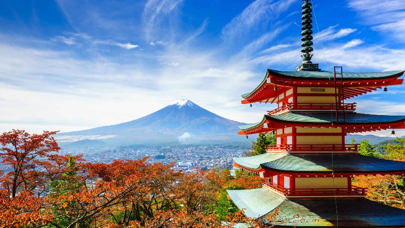 Japan Tours: What Are the Details You Need?