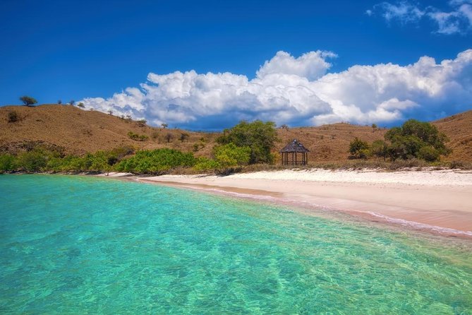 Exciting Activities at Komodo Island’s Pink Beach