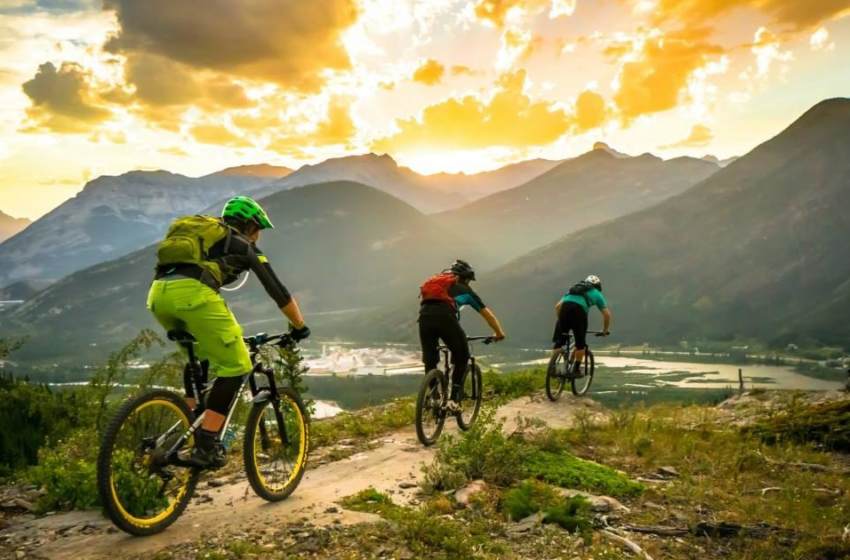 Things to Do on Your Next Fernie Getaway